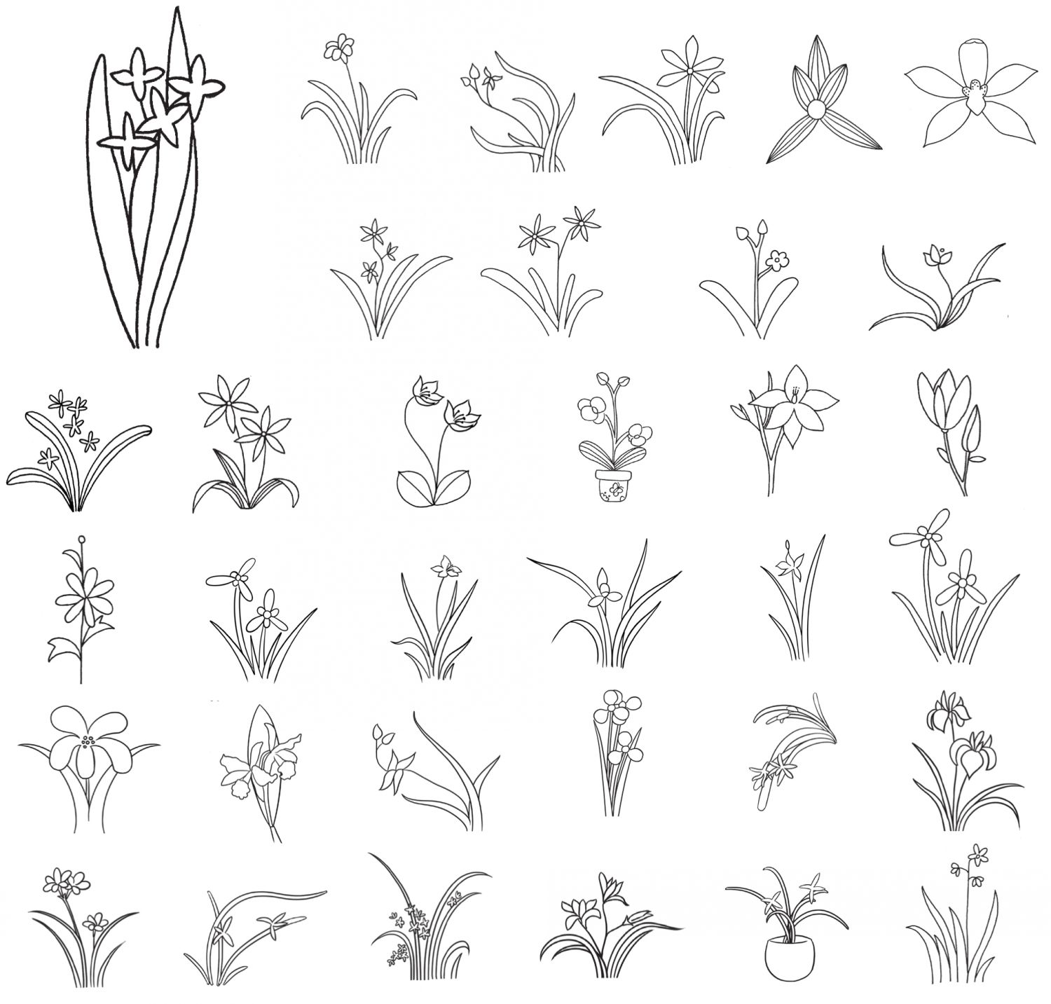 兰花简笔画