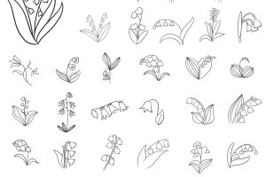 铃兰花简笔画