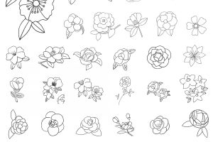 山茶花简笔画