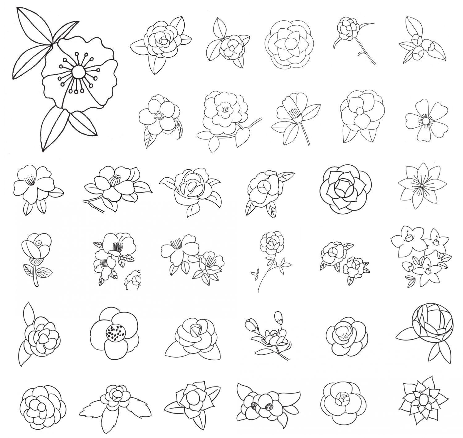 山茶花简笔画
