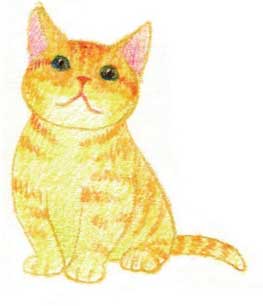 猫咪简笔画