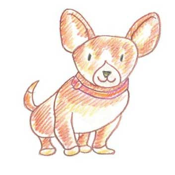 狗简笔画