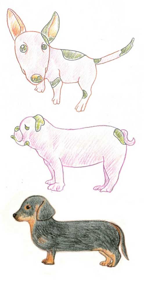 狗简笔画