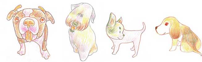 狗简笔画
