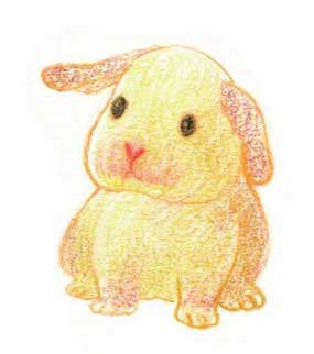 兔子简笔画