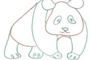 大熊猫简笔画