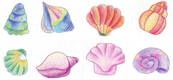 贝壳简笔画