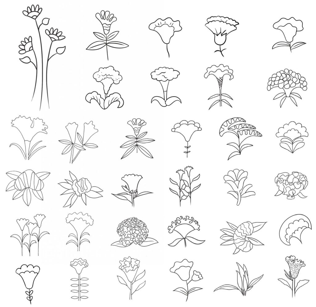 鸡冠花简笔画