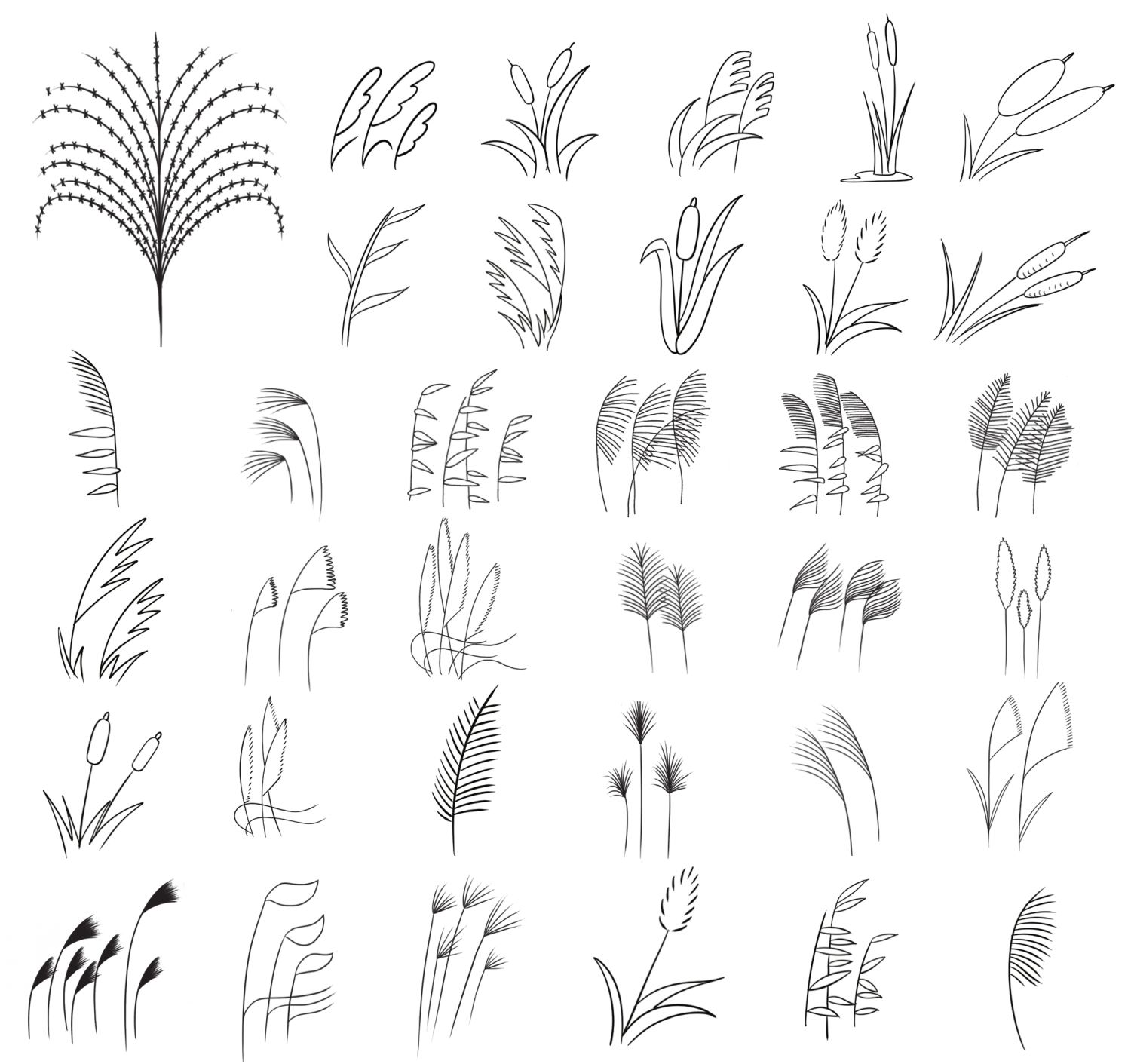 芦苇简笔画