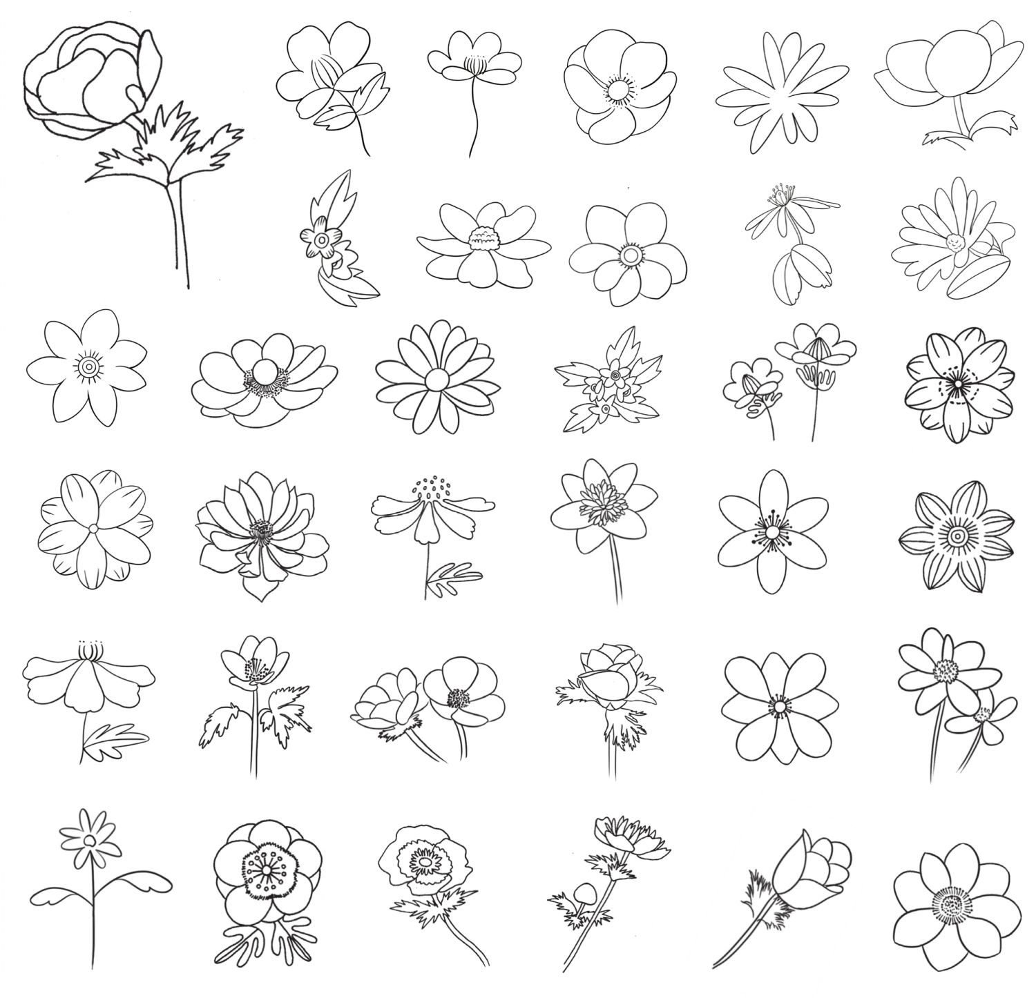 银莲花简笔画