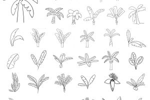 芭蕉简笔画
