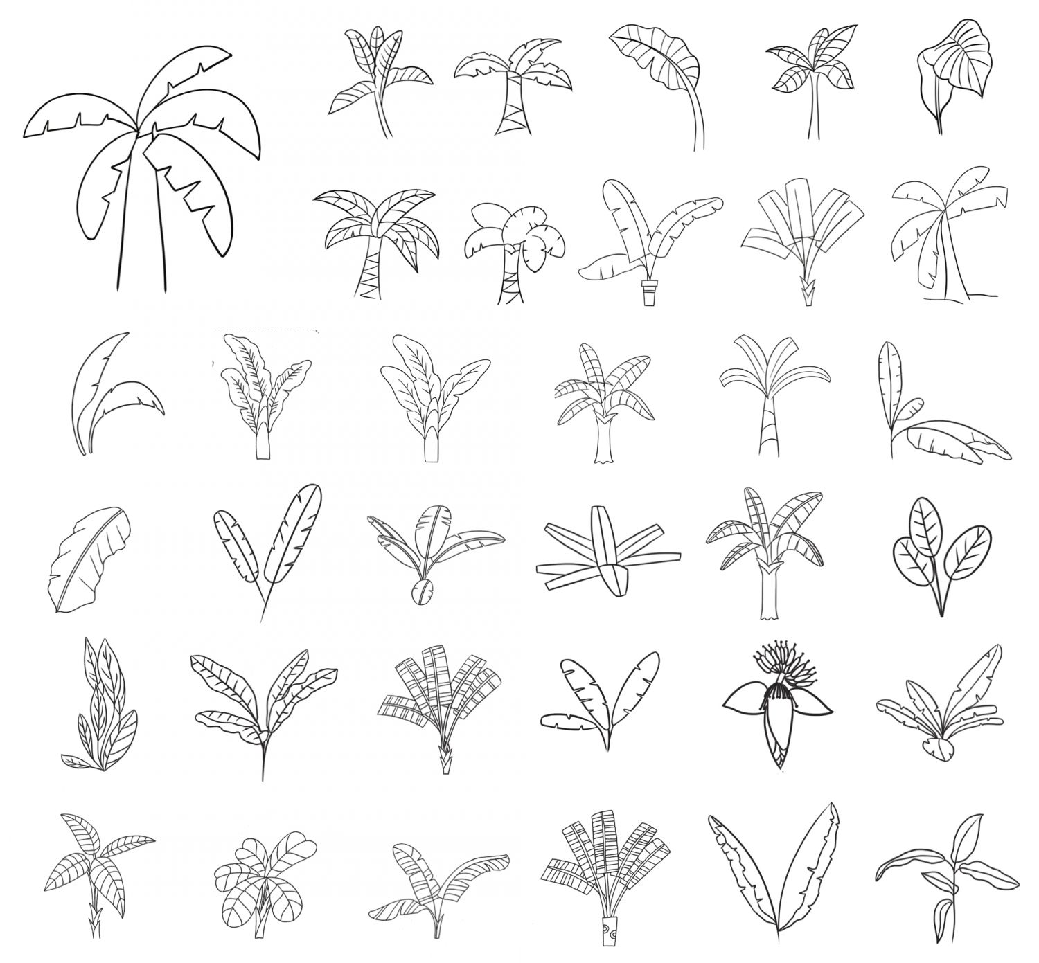 芭蕉简笔画