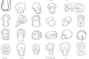 白菜简笔画