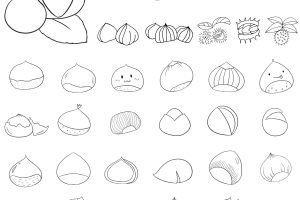 栗子简笔画