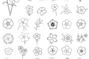 石竹简笔画