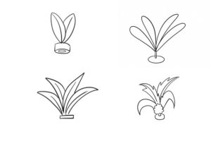 毽子简笔画