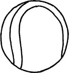 网球简笔画