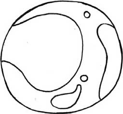 火星简笔画