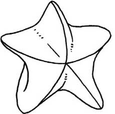 杨桃简笔画