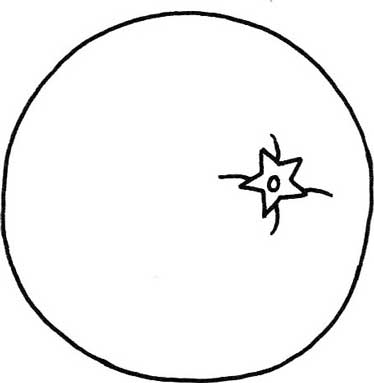 橙子简笔画