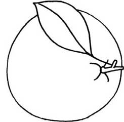 橙子简笔画