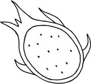 火龙果简笔画