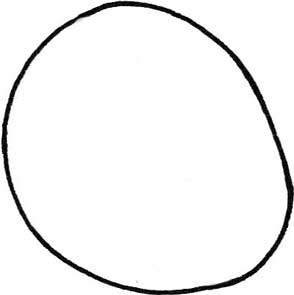 山竹简笔画