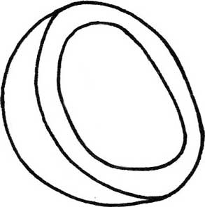 山竹简笔画