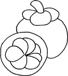 山竹简笔画