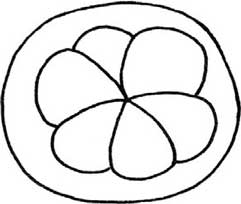 山竹简笔画