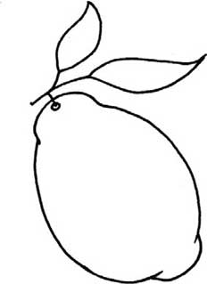 柠檬简笔画