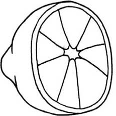 柠檬简笔画