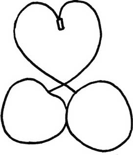 樱桃简笔画