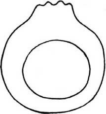 石榴简笔画