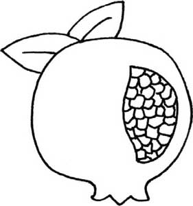 石榴简笔画
