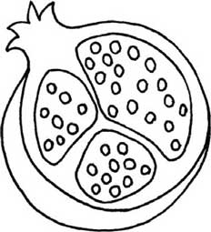 石榴简笔画