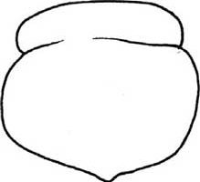 柿子简笔画