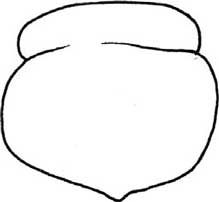 柿子简笔画