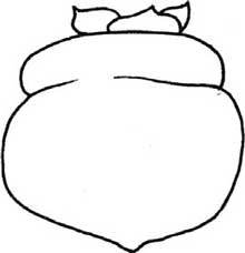柿子简笔画