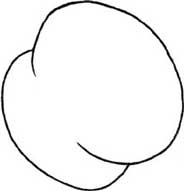 桃子简笔画