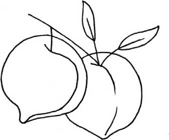 桃子简笔画
