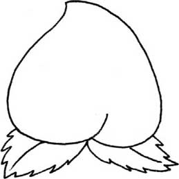 桃子简笔画