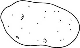 土豆简笔画