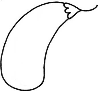 豌豆简笔画