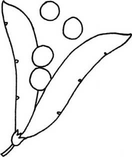 豌豆简笔画