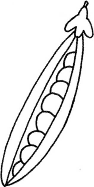 豌豆简笔画