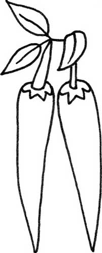 尖椒简笔画