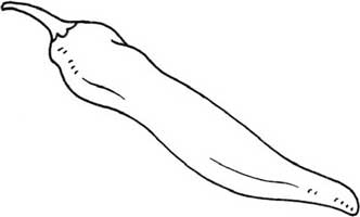 尖椒简笔画