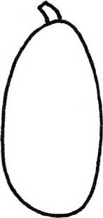 南瓜简笔画