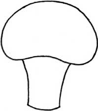 西兰花简笔画